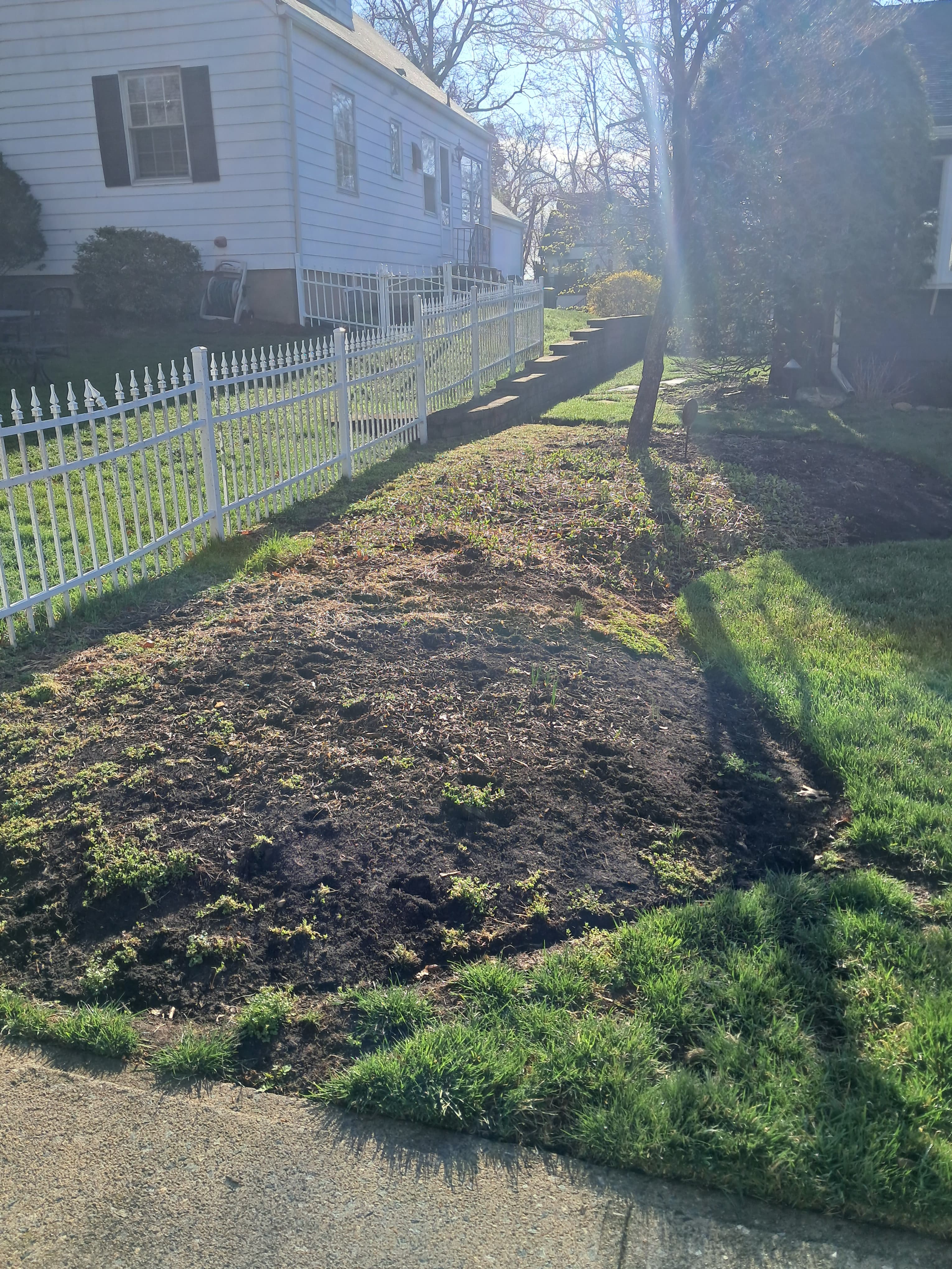 Before: Landscape area before mulch installation in Palisades Park, NJ